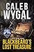 Blackbeard's Lost Treasure:...