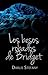 Los besos robados de Bridget by Darlis Stefany