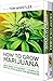How to Grow Marijuana: 2 Ma...