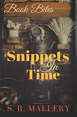 SNIPPETS IN TIME: Book Bites 1 (Kindle Edition)