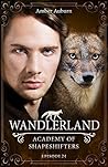 Wandlerland, Episode 24 - Fantasy-Serie (Academy of Shapeshif... by Amber Auburn
