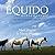 EQUIDO: THE PATH OF LEAST R...