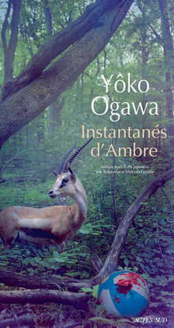 Instantanés d'Ambre (Paperback)