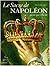 Le sacre de Napoléon peint par David