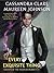 Every Exquisite Thing by Cassandra Clare