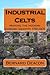 Industrial Celts: Making the modern Cornish identity, 1750-1870
