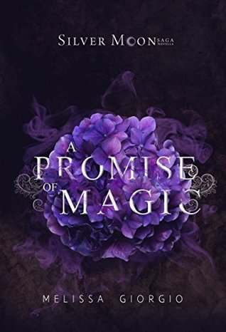 A Promise of Magic (Silver Moon Saga, #2.5)