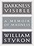 Darkness Visible by William Styron