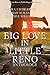 Big Love in Little Reno: A ...