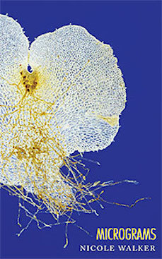 Micrograms (Paperback)