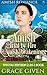 Amish Trial by Fire / Amish...