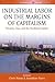 Industrial Labor on the Margins of Capitalism by Chris Hann