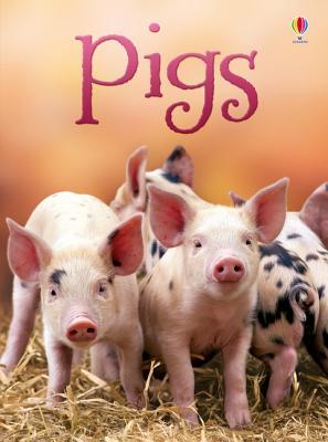 Pigs (Usborne Beginners)