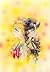 Sailor Moon 11 La Princesa Kaguya by Naoko Takeuchi