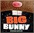 Big Bunny