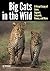 Big Cats in The Wild: A Vis...