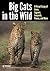 Big Cats in The Wild by Joe McDonald