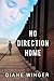 No Direction Home