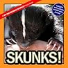 Skunks!: A My Inc...