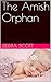 The Amish Orphan by Deidra Scott