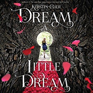 Dream a Little Dream: Library Edition