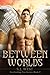 Between Worlds by S.J. West