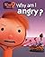 Why Am I Angry?