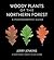 Woody Plants of the Northern Forest by Jerry C. Jenkins