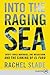 Into the Raging Sea: Thirty-Three Mariners, One Megastorm, and the Sinking of El Faro