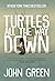 Turtles All the Way Down