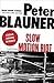 Slow Motion Riot by Peter Blauner