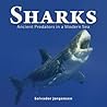 Sharks: Ancient P...