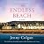 The Endless Beach (The Summer Seaside Kitchen, #2)