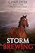 Storm Brewing: Book Three The Rocket Series