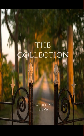The Collection: A Novella