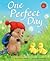 One Perfect Day (Little Hedgehog #12)