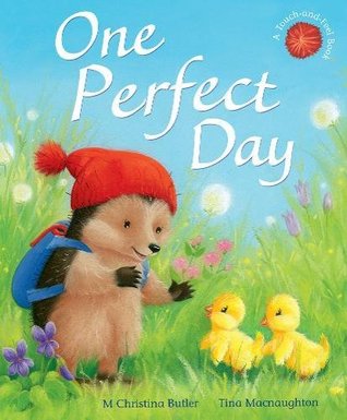 One Perfect Day (Little Hedgehog #12)