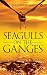 Seagulls on the Ganges by Julie Stafford Seagulls on the Ganges by Julie Stafford
