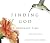 Finding God in Ordinary Time