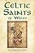 Celtic Saints of Wales by Elizabeth Rees