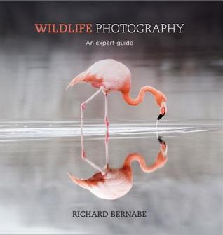Wildlife Photography: An expert guide