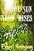 The Sun Also Rises by Ernest Hemingway
