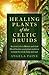 Healing Plants of the Celtic Druids by Angela Paine Healing Plants of the Celtic Druids by Angela Paine