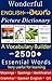 Wonderful English to Telugu / Telugu to English Picture Dicti... by REDDY N S