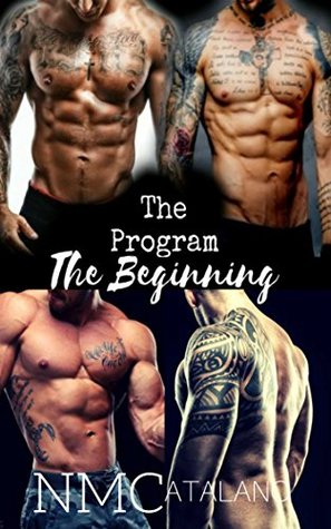 The Beginning: A Prequel (ebook)