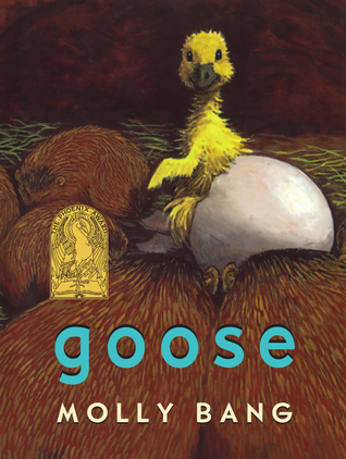 Goose (Hardcover)