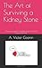 The Art of Surviving a Kidney Stone: a humorous guide to something you won’t find funny at the time