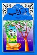 داستانی از داستان‌های هزار و یکشب: حدیث غانم پسر ایوب
