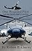 One Wounded Pilot: And the Family that Loves Her