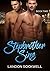 Stepbrother Sins: Book Two